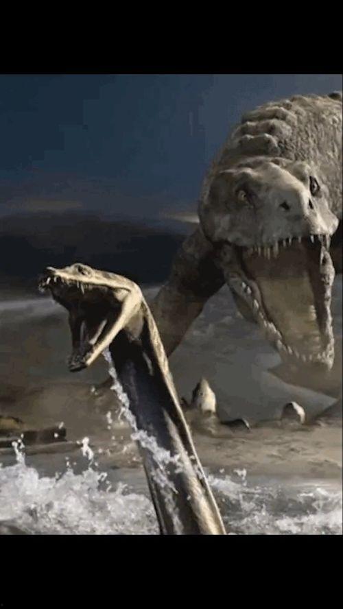 史前生物视频,揭秘远古生物的神秘世界