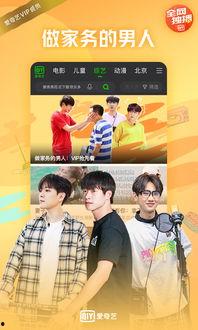 爱齐艺视频,艺术与科技的完美融合之旅