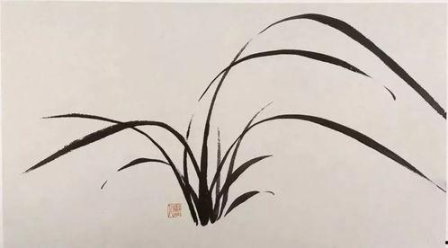 画兰花视频,视频教程带你领略国花之美