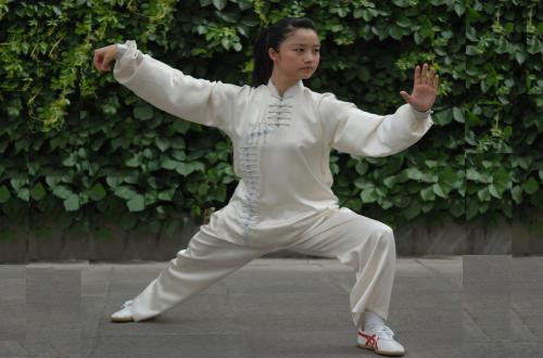 太极教程视频,轻松入门，掌握养生太极之道