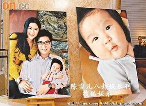 李家诚视频,财富传奇背后的故事与智慧