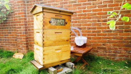 德国养蜂视频,传统与现代共融的养蜂之道