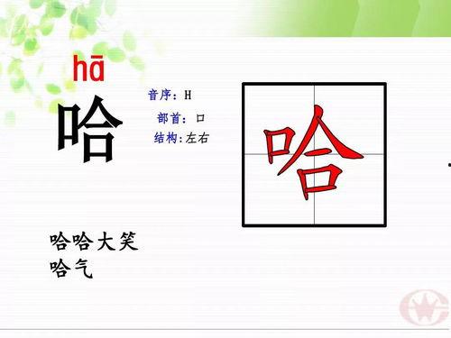 画 朗读视频,从画面到文字的视觉之旅