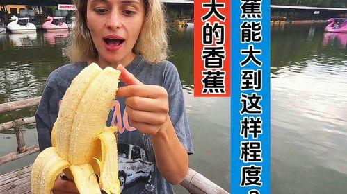 大香蕉七视频,揭秘网络短视频的娱乐魅力与传播力量