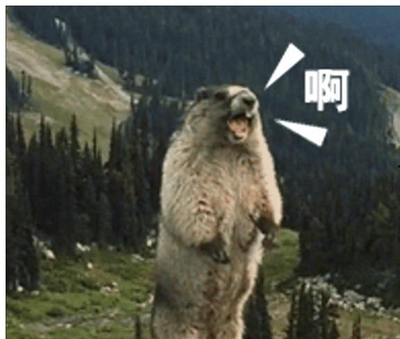 土拨鼠尖叫视频,揭秘动物界的神秘声音