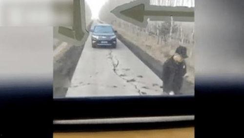 观修视频40分钟,心灵之旅的精彩瞬间