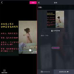 将视频和字幕,深度解析精彩瞬间